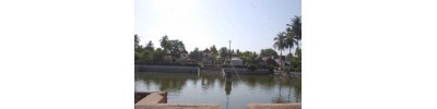168. திருக்களர்